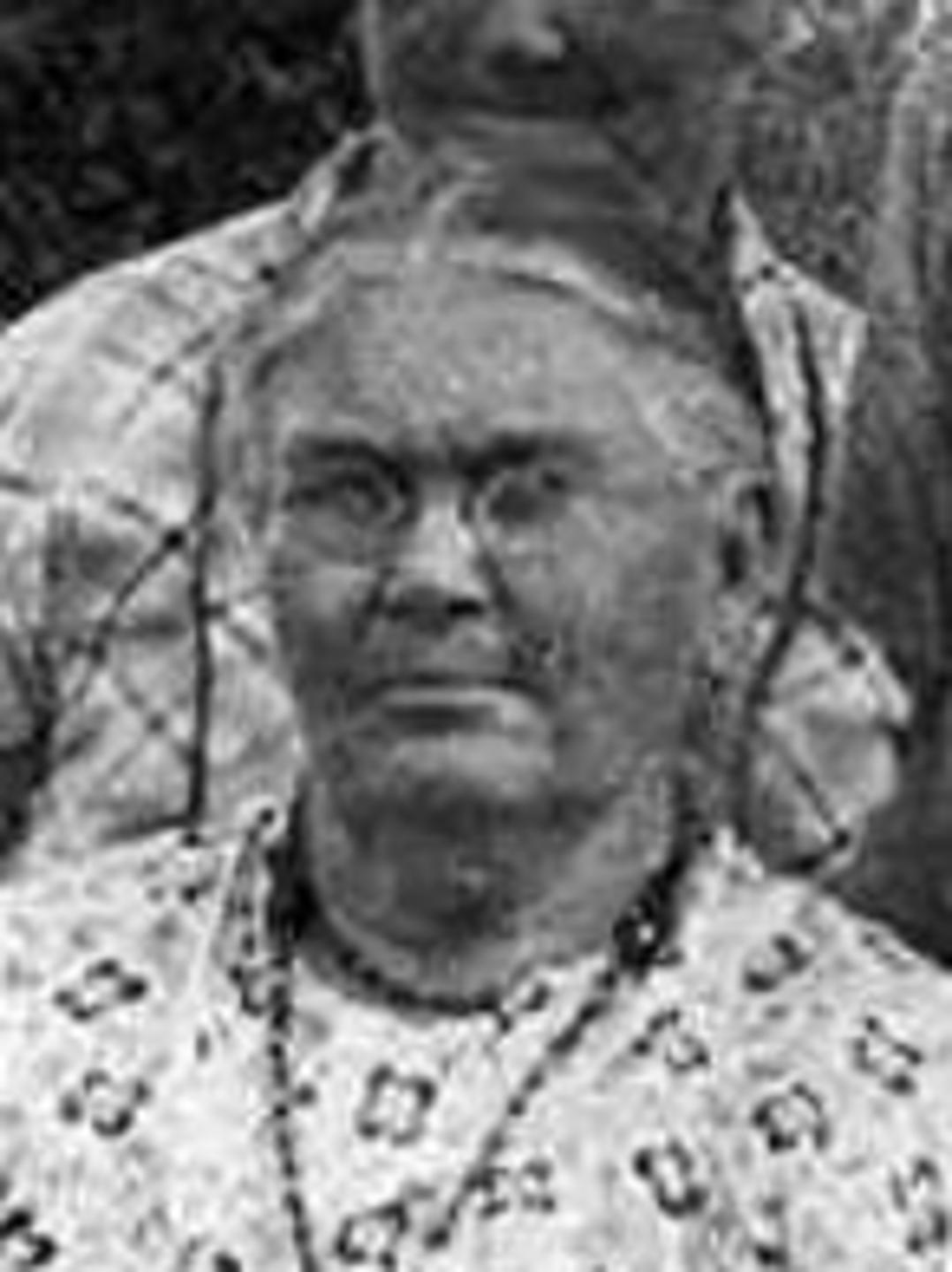 Mahala Melvina Love (1855 - 1940) Profile